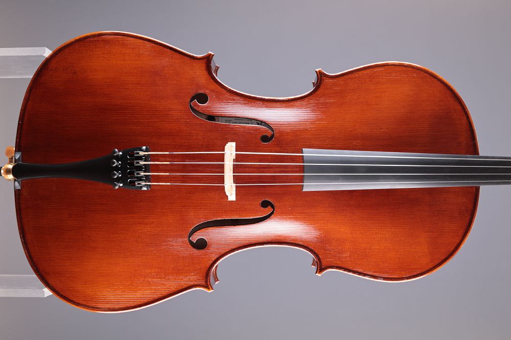 Leonhardt Rainer W. - Mittenwald Anno 2026 - The dark Light - 3/4 Cello C-063k